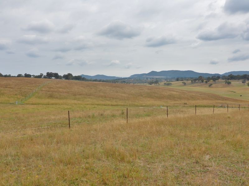 Lot 202 Back Cullen Road, Portland NSW 2847