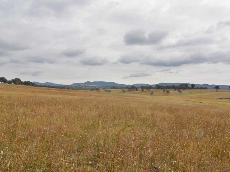 Lot 202 Back Cullen Road, Portland NSW 2847