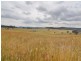 Lot 202 Back Cullen Road, Portland NSW 2847
