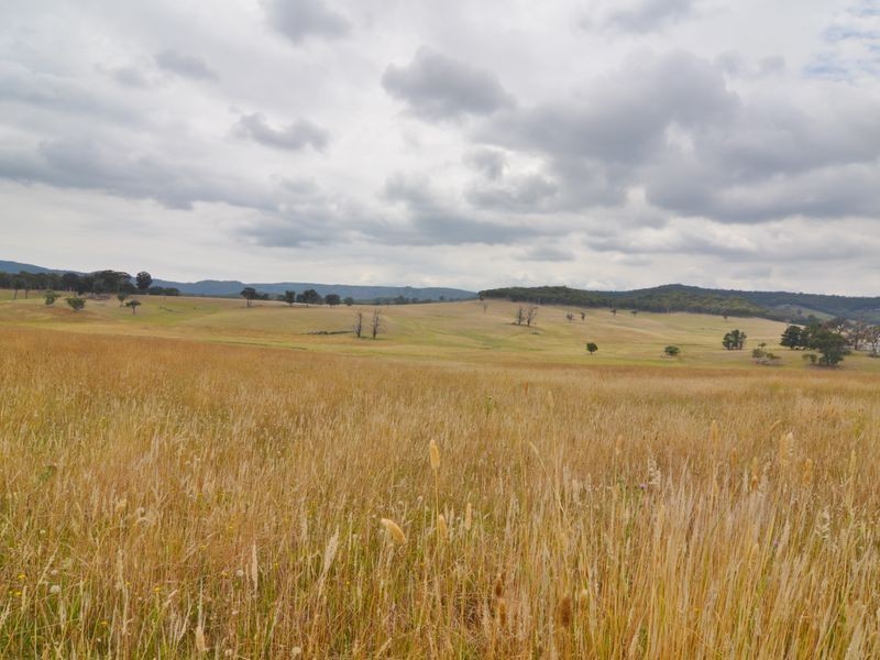 Lot 202 Back Cullen Road, Portland NSW 2847
