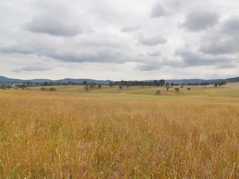 Lot 202 Back Cullen Road, Portland NSW 2847