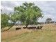 Lot 202 Back Cullen Road, Portland NSW 2847