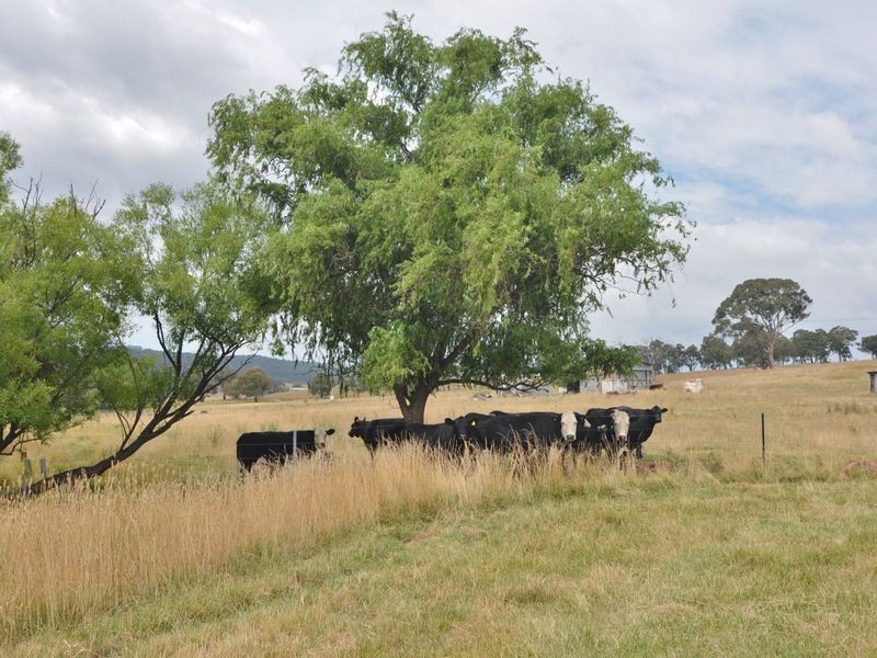 Lot 202 Back Cullen Road, Portland NSW 2847