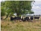 Lot 202 Back Cullen Road, Portland NSW 2847