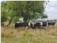 Lot 202 Back Cullen Road, Portland NSW 2847