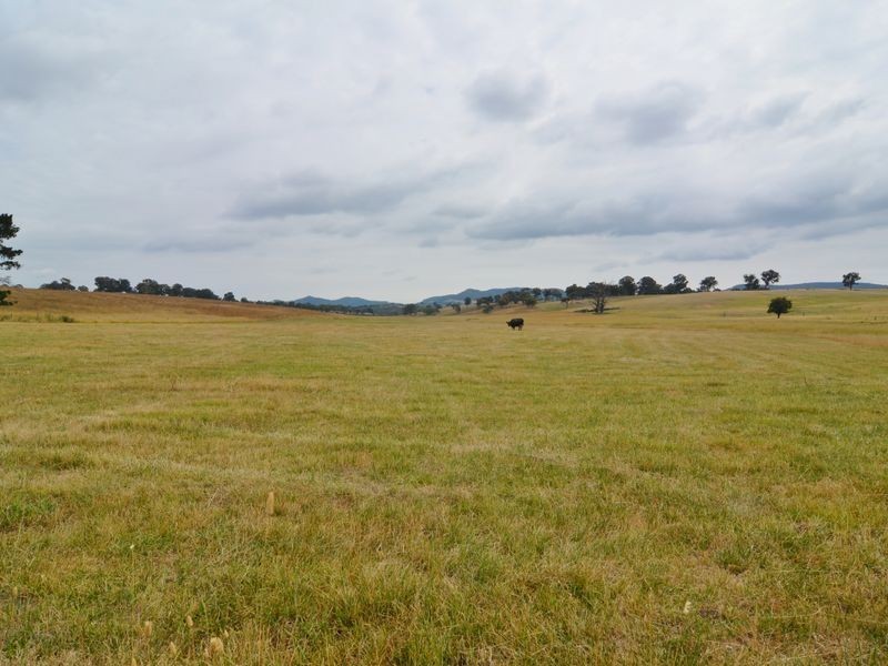 Lot 202 Back Cullen Road, Portland NSW 2847