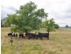 Lot 202 Back Cullen Road, Portland NSW 2847