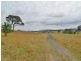 Lot 202 Back Cullen Road, Portland NSW 2847