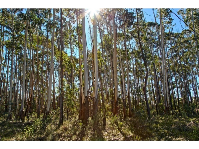 Lot 34 Donald Road, Clarence NSW 2790