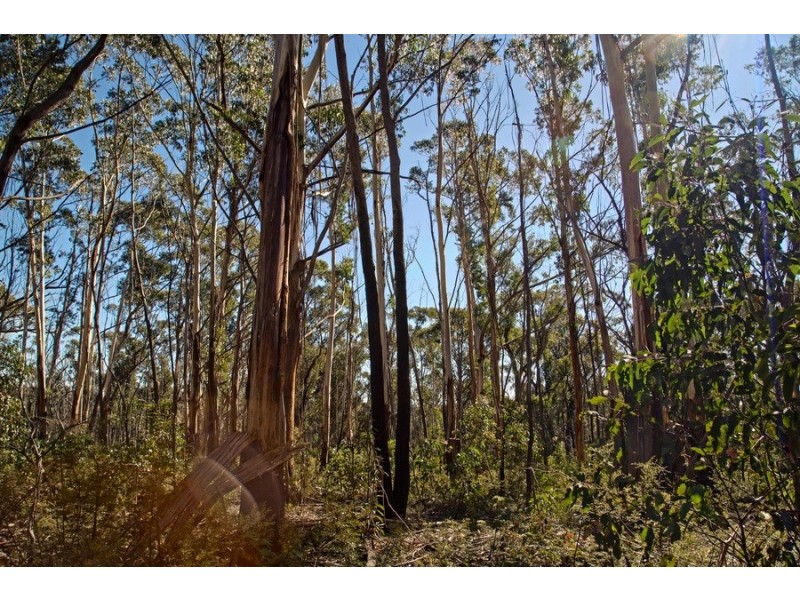 Lot 34 Donald Road, Clarence NSW 2790