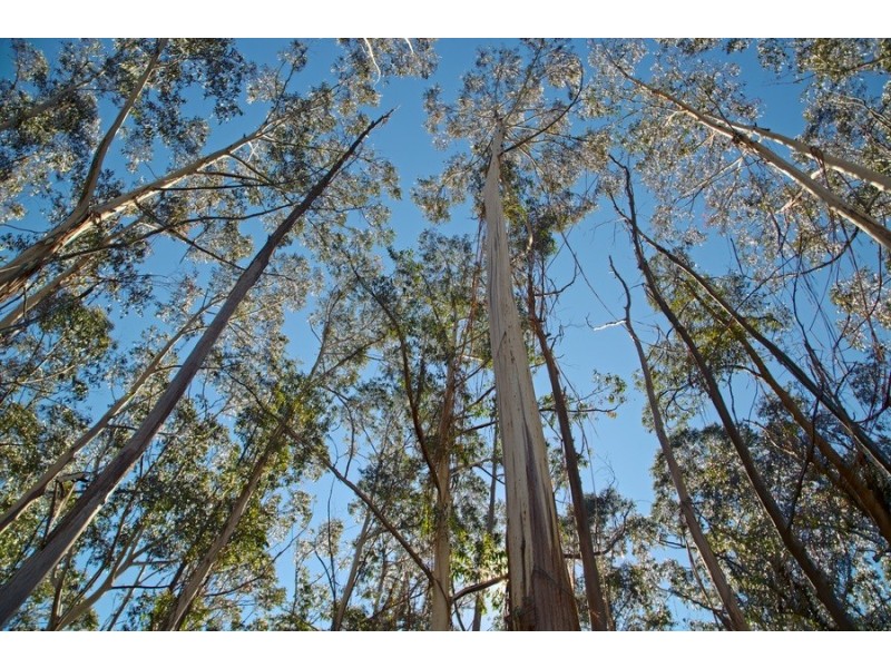 Lot 34 Donald Road, Clarence NSW 2790