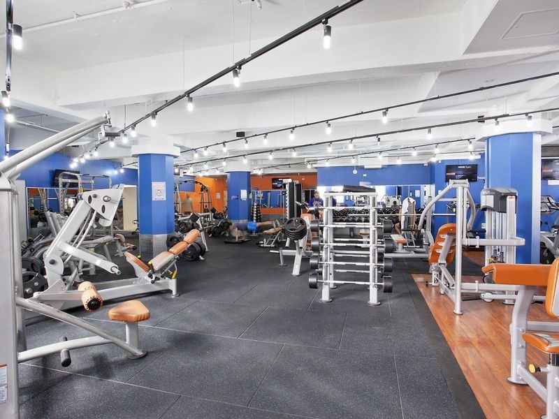 172 Riley Street, Surry Hills NSW 2010