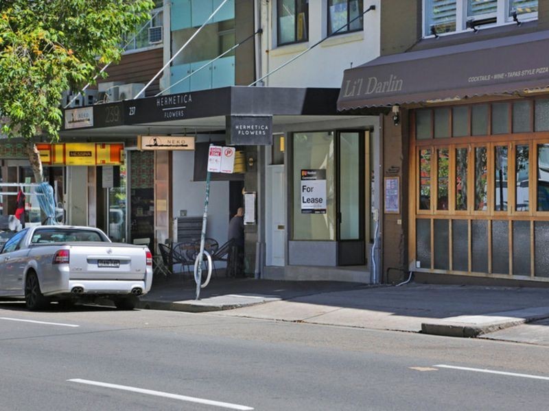 237 Victoria Street, Darlinghurst NSW 2010