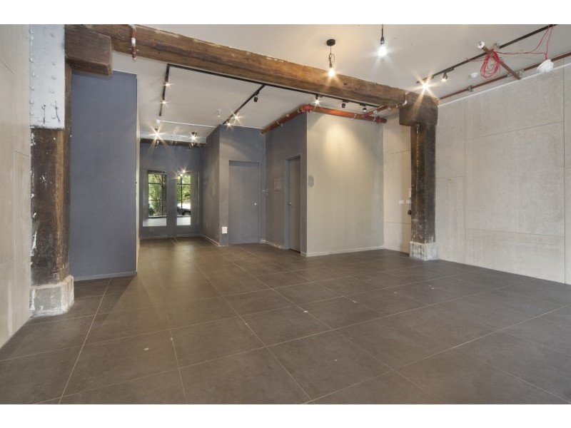 13A Burton Street, Darlinghurst NSW 2010