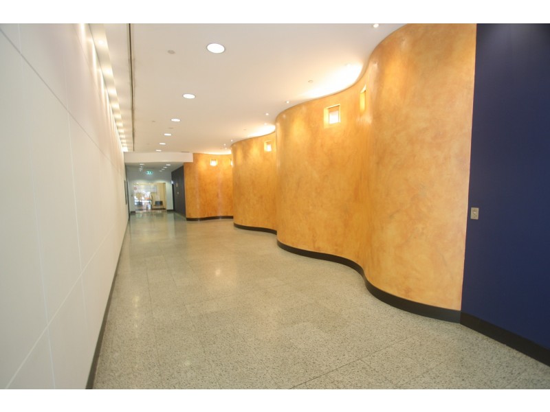 Level 2/131 Clarence Street, Sydney NSW 2000