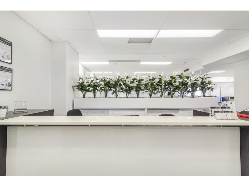 904/109 Pitt Street, Sydney NSW 2000