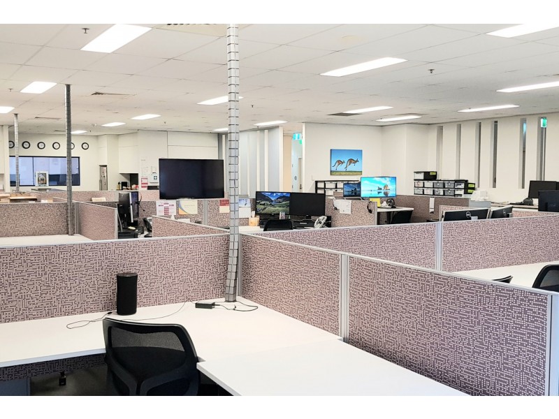 Level 6/257 Clarence Street, Sydney NSW 2000