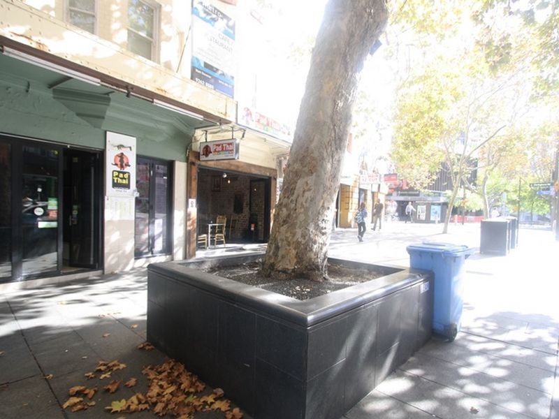 2a Roslyn Street, Potts Point NSW 2011