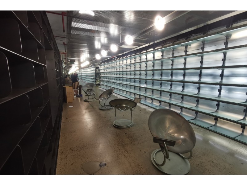 3 Temperance Lane, Sydney NSW 2000