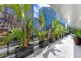 1105/50 Clarence Street, Sydney NSW 2000
