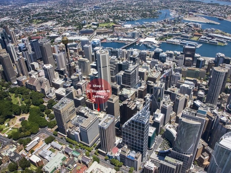 1/82 Elizabeth Street, Sydney NSW 2000