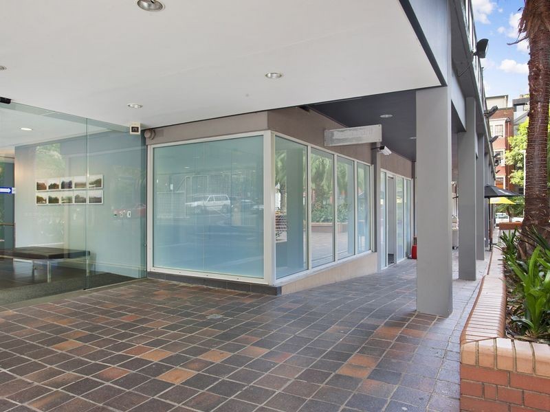 1/2 Springfield Avenue, Potts Point NSW 2011