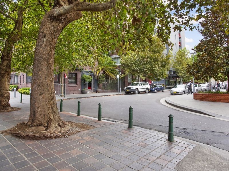 1/2 Springfield Avenue, Potts Point NSW 2011