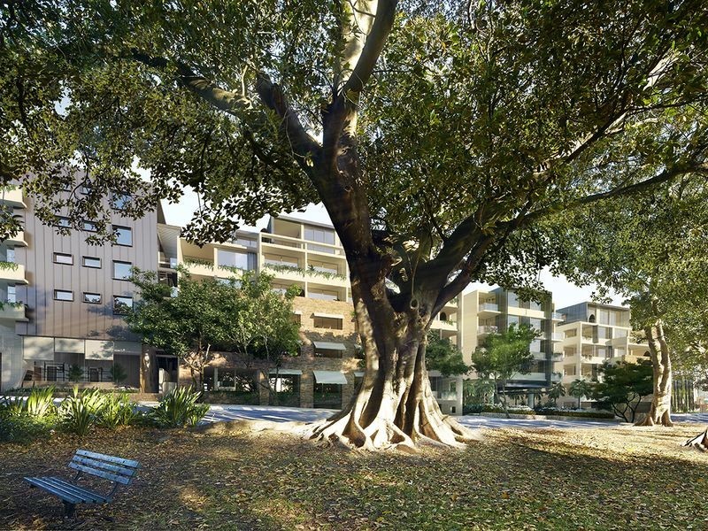 810 Elizabeth Street, Sydney NSW 2000