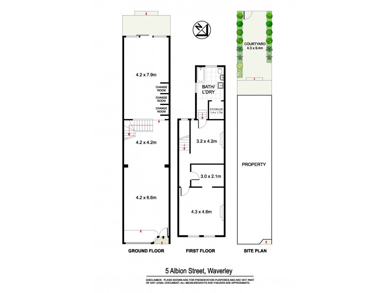 5 Albion Street, Waverley NSW 2024 Floorplan