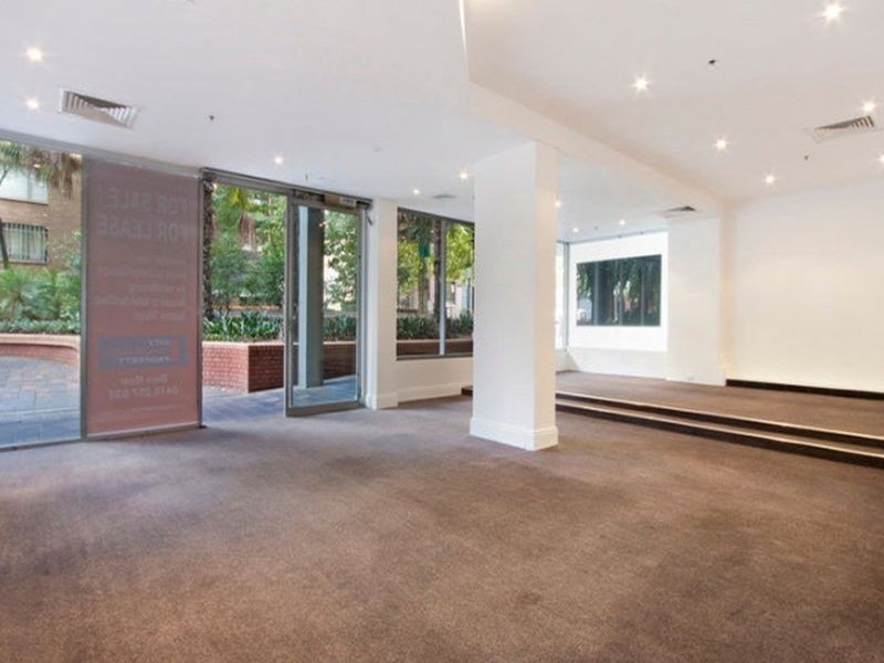 1/2 Springfield Avenue, Potts Point NSW 2011
