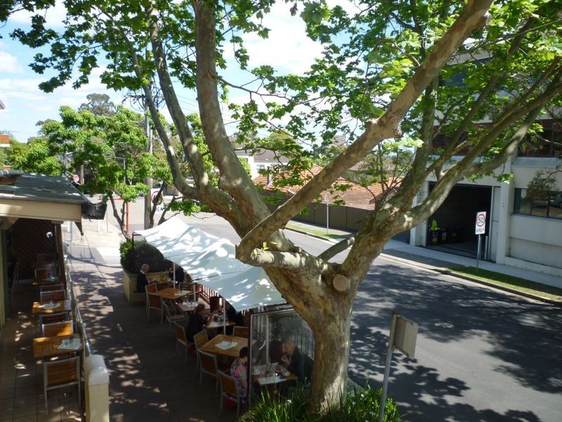 1/376 Pacific Highway, Crows Nest NSW 2065