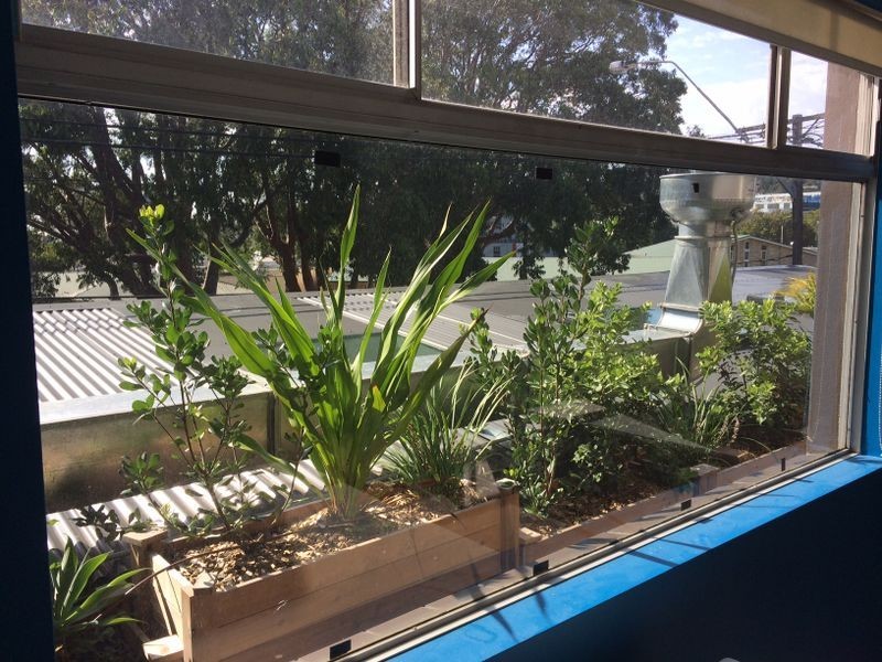 203/30 Fisher Road, Dee Why NSW 2099