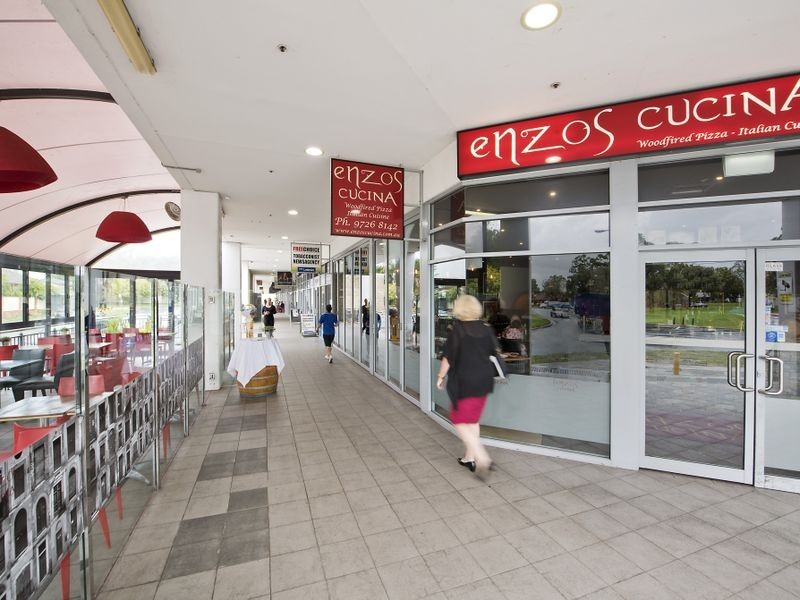 20 Ernest Ave, Chipping Norton NSW 2170