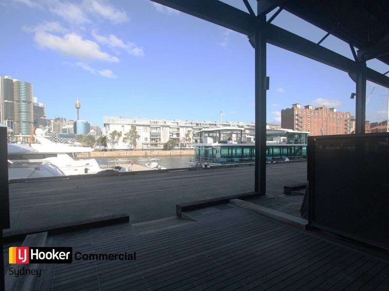 73/26-32 Pirrama Road, Pyrmont NSW 2009