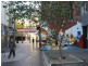 16/24-30 Springfield Avenue, Potts Point NSW 2011