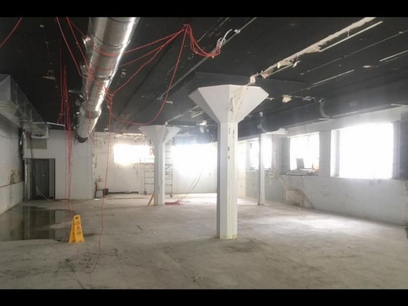 53-55 Foveaux Street, Surry Hills NSW 2010