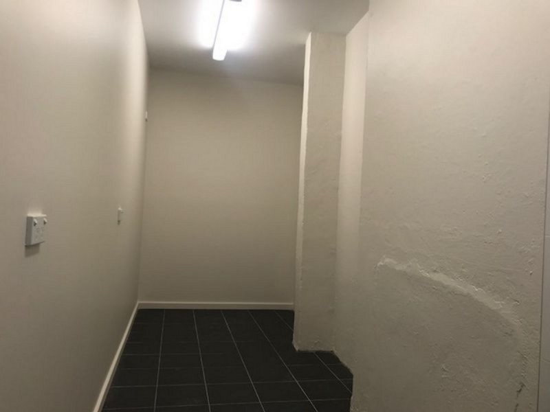 Lower Ground Floor/70 Oxford Street, Paddington NSW 2021