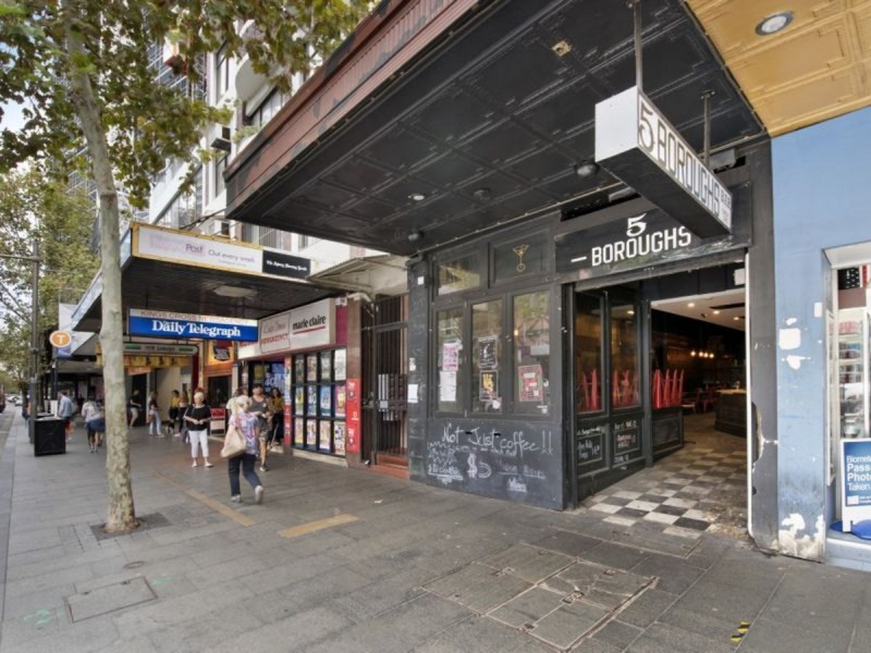 95 Darlinghurst Road, Potts Point NSW 2011