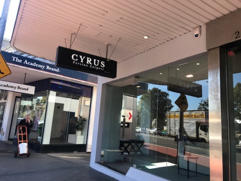 266 Oxford Street, Paddington NSW 2021