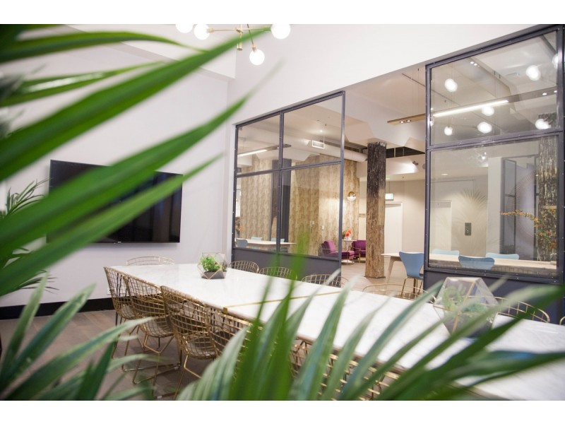 24/204 Clarence Street, Sydney NSW 2000