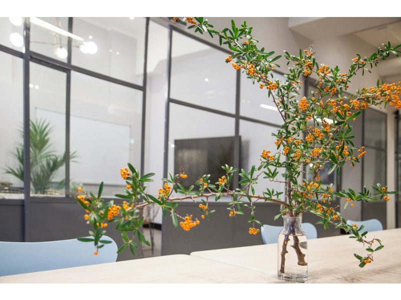 24/204 Clarence Street, Sydney NSW 2000