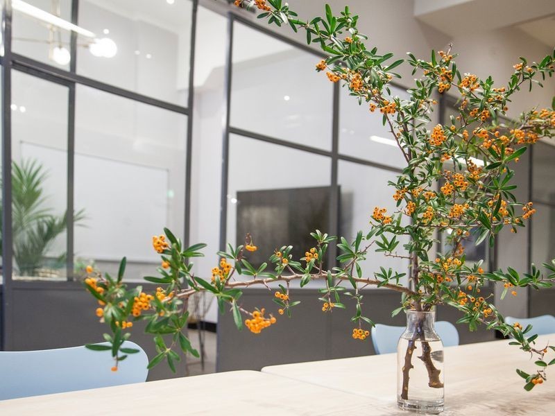 15/204 Clarence Street, Sydney NSW 2000