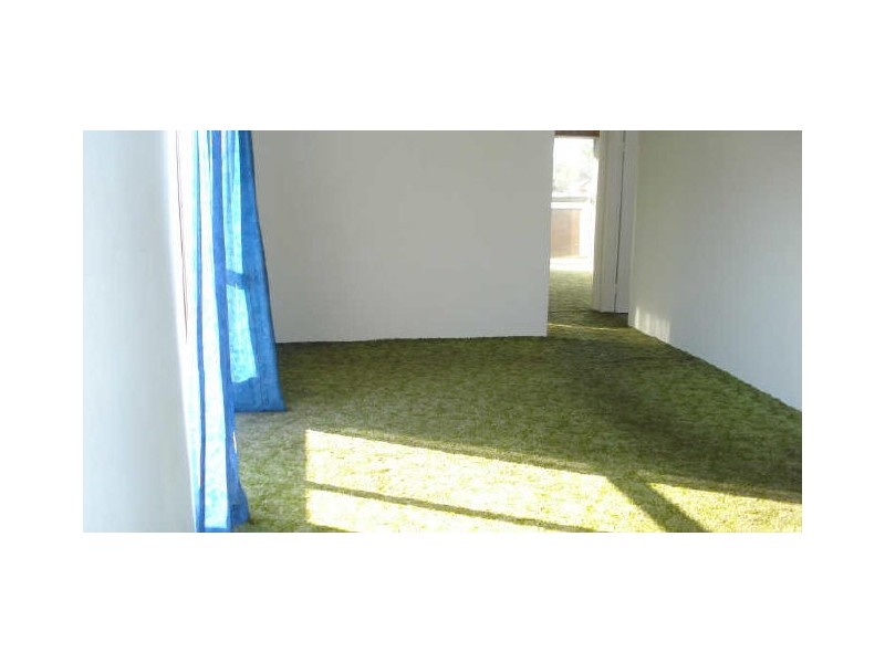 118 Cabramatta Rd, Cabramatta NSW 2166