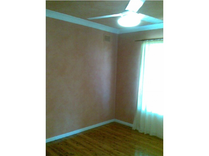 4 Stafford Street, Cabramatta NSW 2166