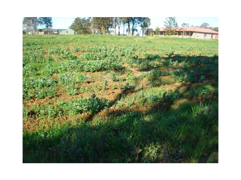 630 Devonshire Road, Kemps Creek NSW 2178