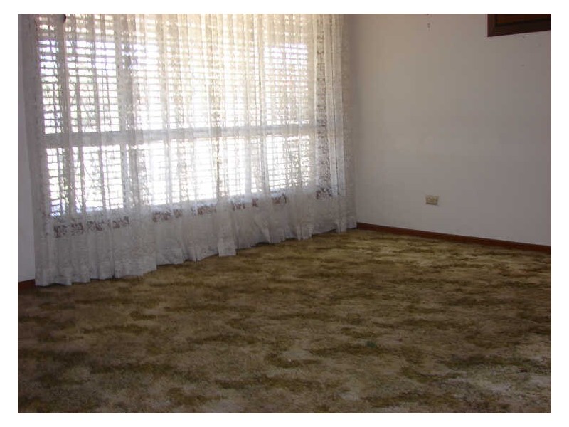 529 Hume Highway, Casula NSW 2170