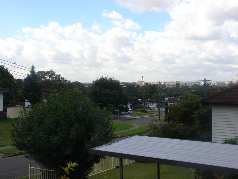 24 Wakelin Avenue, Mount Pritchard NSW 2170