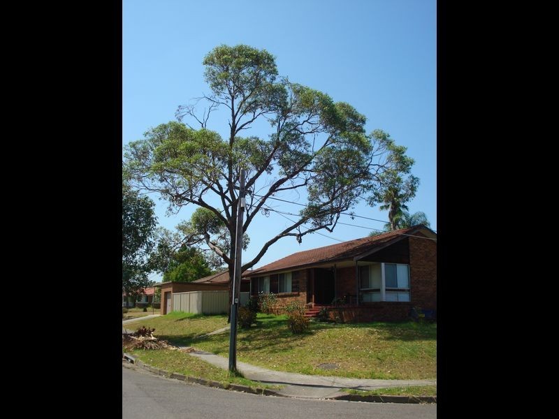 25 Tallowood Avenue, Casula NSW 2170