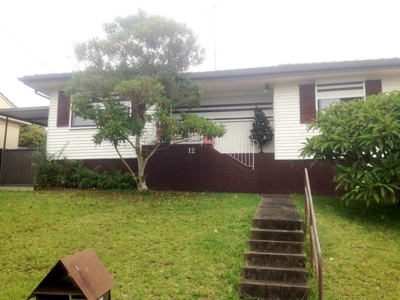 12 Parsons Street, Ashcroft NSW 2168