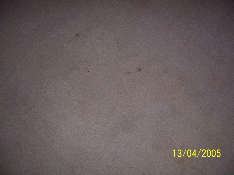 11/24 Gunsynd Avenue, Casula NSW 2170